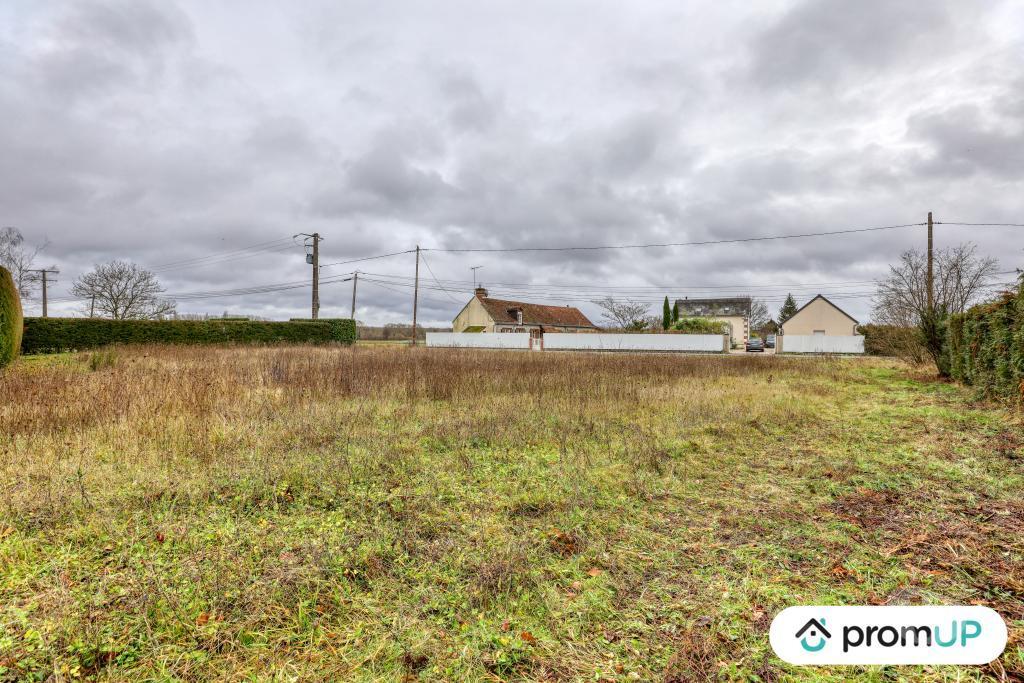 Terrain à vendre Loir-et-Cher Cheverny - 41700 - Photos Vivastreet (VT1164) Vaste terrain à Cheverny au cœur de la Sologne viticole