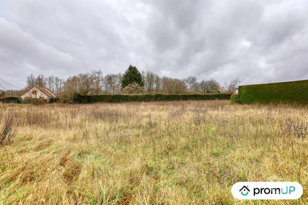Terrain à vendre Loir-et-Cher Cheverny - 41700 - Photos Vivastreet (VT1164) Vaste terrain à Cheverny au cœur de la Sologne viticole