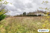 (VT1164) Vaste terrain à Cheverny au cœur de la Sologne viticole