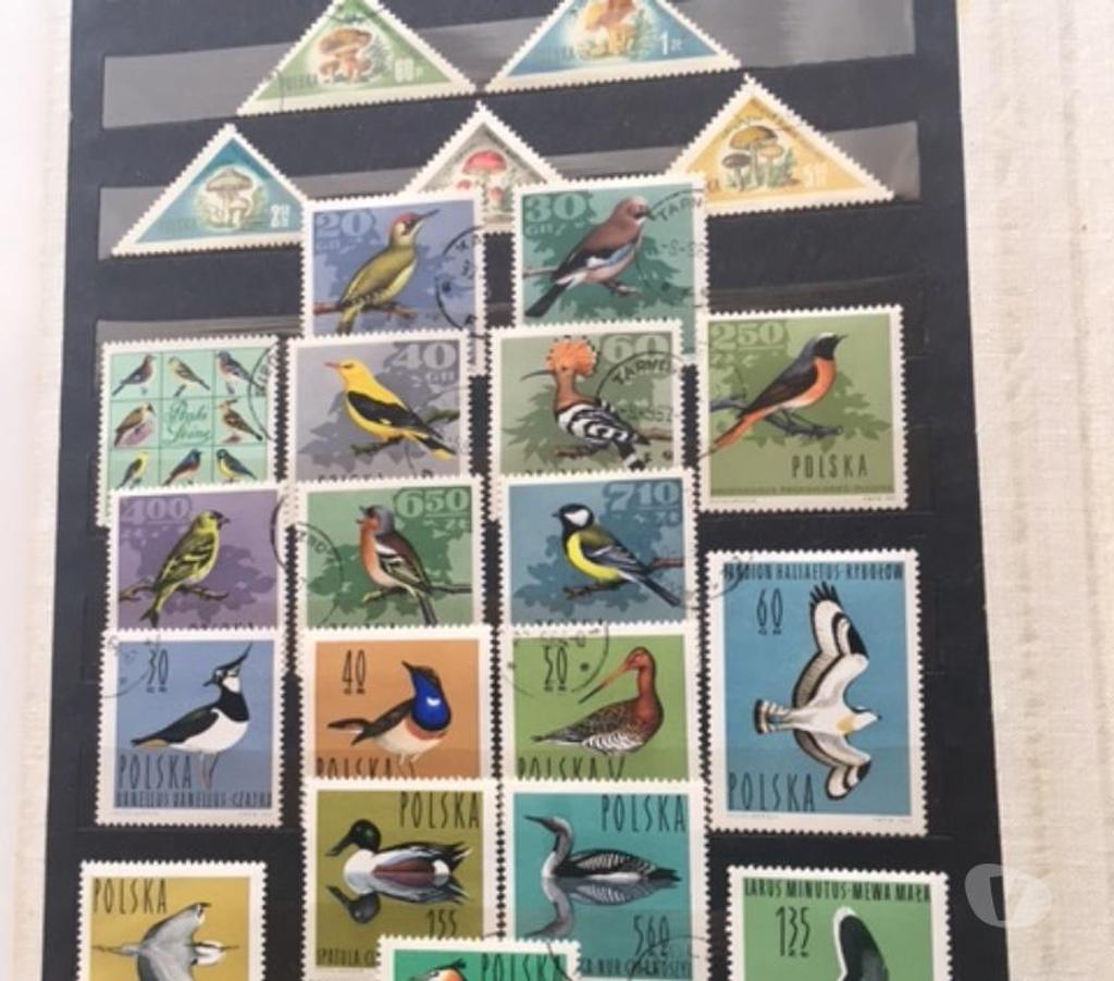 Collection Nord Valenciennes - 59300 - Photos Vivastreet Collection des timbres polonais 156
