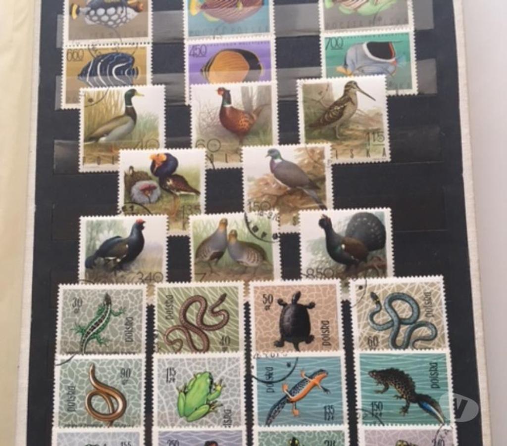 Collection Nord Valenciennes - 59300 - Photos Vivastreet Collection des timbres polonais 156