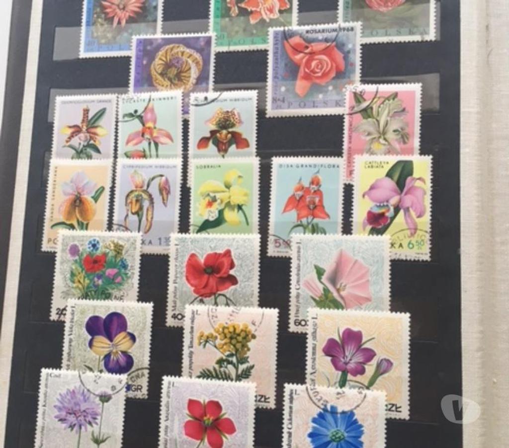Collection Nord Valenciennes - 59300 - Photos Vivastreet Collection des timbres polonais 156