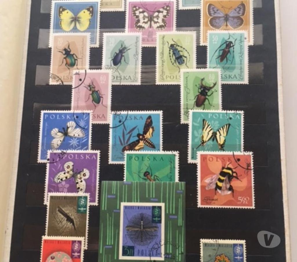 Collection Nord Valenciennes - 59300 - Photos Vivastreet Collection des timbres polonais 156