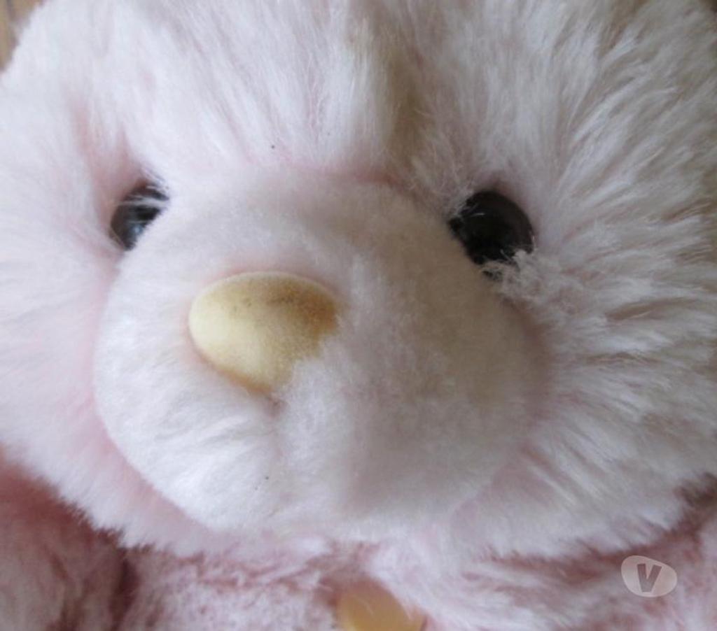 Equipements bébés Nord Valenciennes - 59300 - Photos Vivastreet Peluches musicales et mécaniques 60