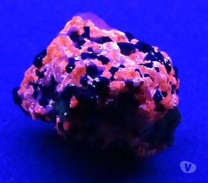Collections Bertrichamps Meurthe-et-Moselle - Photos Vivastreet Franklinite & Villémite & Calcite & Microcline (vive fluores