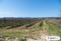 (V6572) Lot de 2 terrains non constructibles à Peyriac-de-Mer