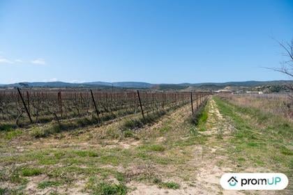 Vente Terrain Peyriac de Mer Aude - Photos Vivastreet (V6572) Lot de 2 terrains non constructibles à Peyriac-de-Mer