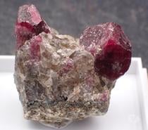 Tourmaline Rubellite , La Sahatany , Ibity , Tananarive , Ma