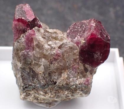 Collection Bertrichamps Meurthe-et-Moselle - Photos Vivastreet Tourmaline Rubellite , La Sahatany , Ibity , Tananarive , Ma