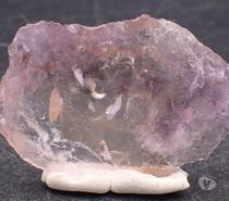 Amétrine , Bolivie 17gr 46 x 32 x 11 mm