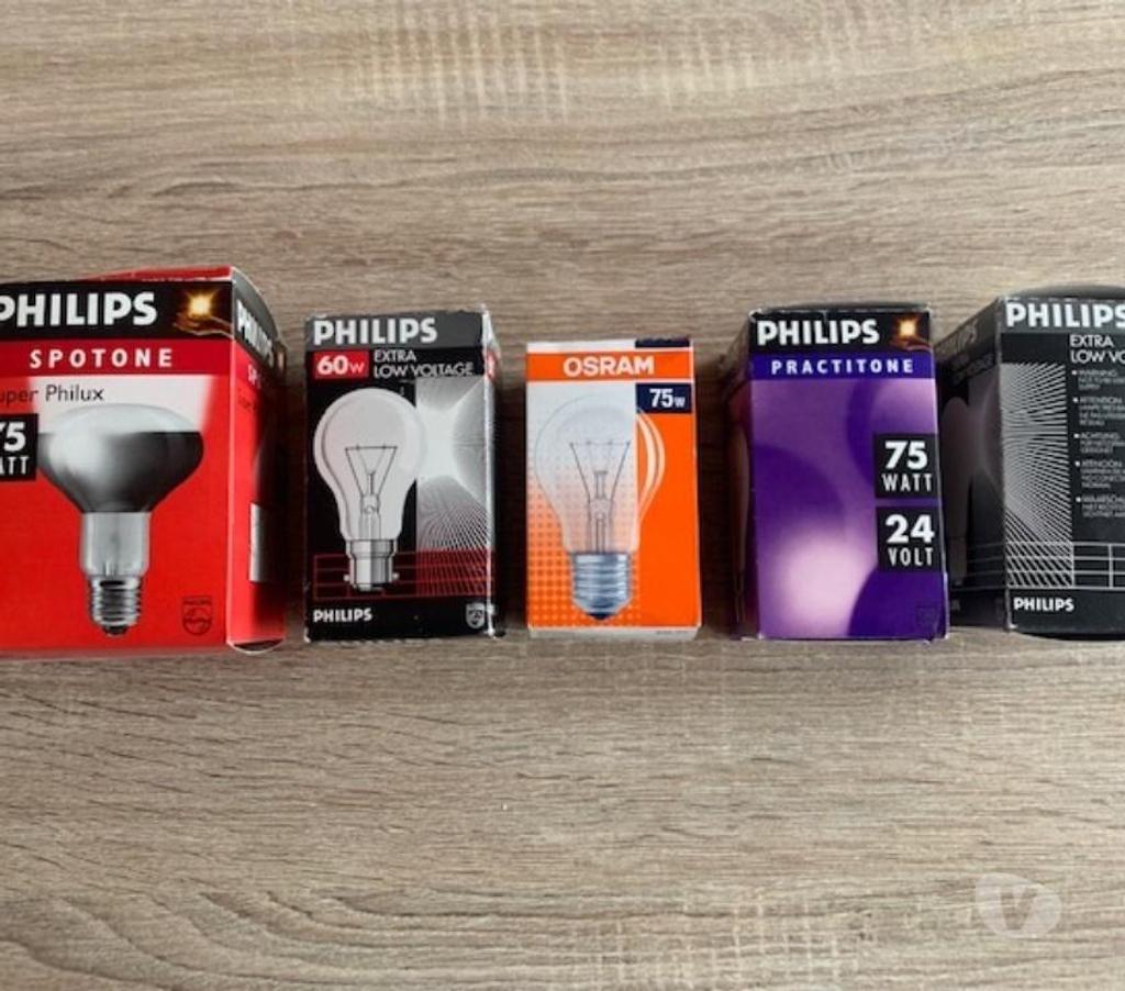  Nord Valenciennes - 59300 - Photos Vivastreet Ampoules incandescentes comme avant 15