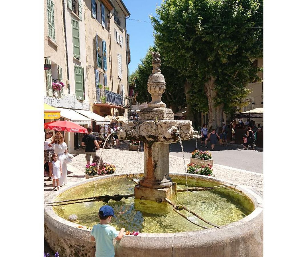 location saisonniere Alpes-de-Haute-Provence Valensole - 04210 - Photos Vivastreet Valensole Lavande villa 135 m² Parc du Verdon et ces lacs