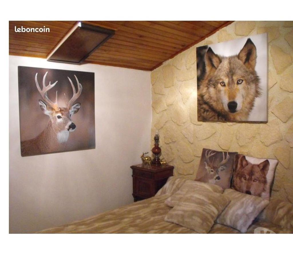 location saisonniere Pyrénées-Orientales Les Angles - 66210 - Photos Vivastreet chalet 4 faces face au lac