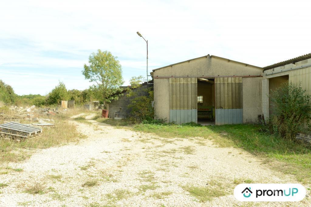 Terrain à vendre Lot Floressas - 46700 - Photos Vivastreet (V6244) Terrain constructible de 4600 m2 à FLORESSAS