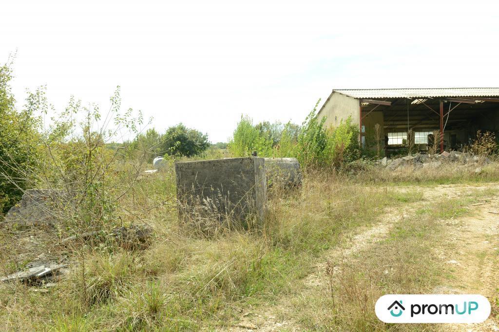 Terrain à vendre Lot Floressas - 46700 - Photos Vivastreet (V6244) Terrain constructible de 4600 m2 à FLORESSAS