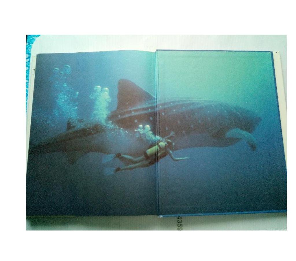 Livres occasion Loiret Chalette sur Loing - 45120 - Photos Vivastreet Livre Les Requins BORDAS 