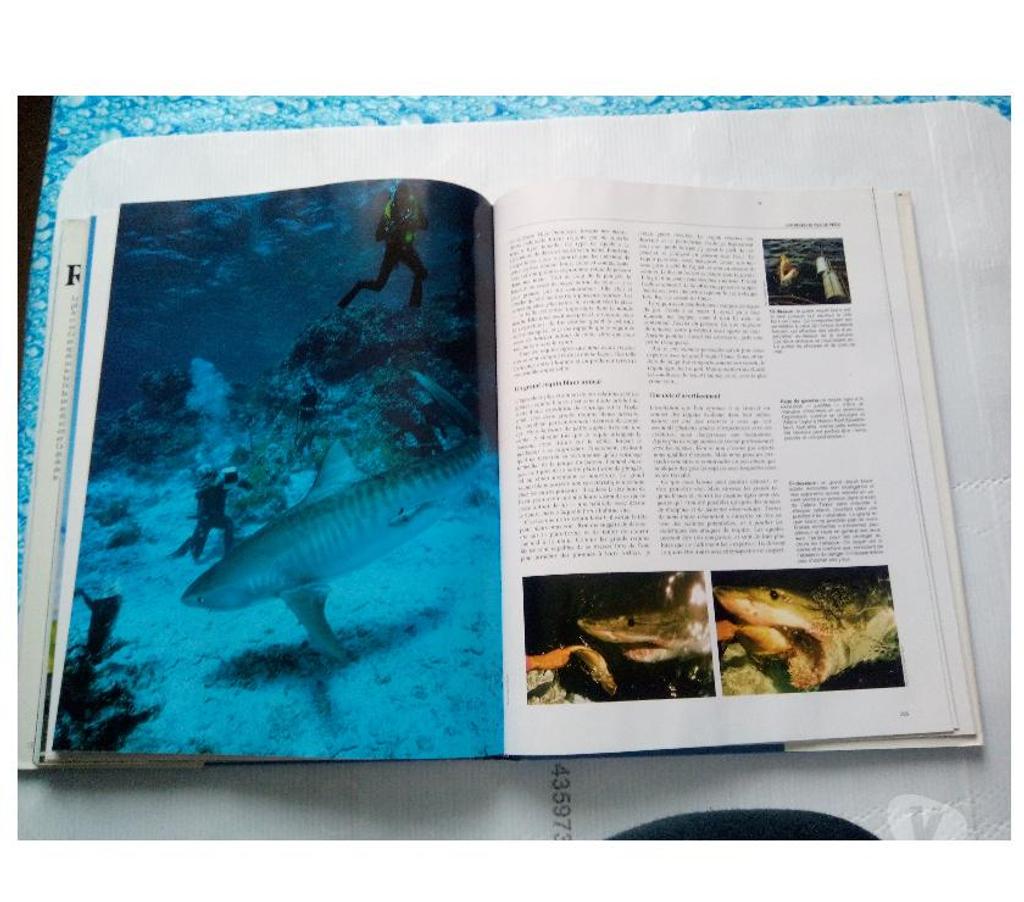 Livres occasion Loiret Chalette sur Loing - 45120 - Photos Vivastreet Livre Les Requins BORDAS 