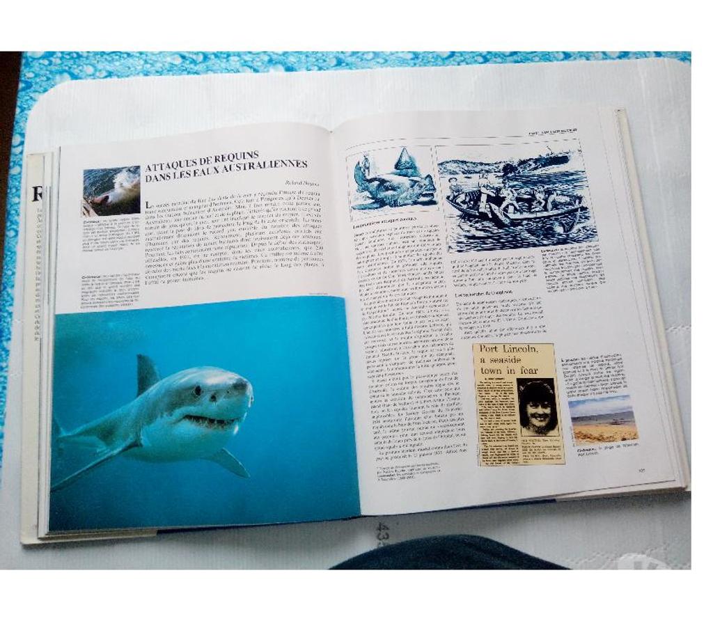Livres occasion Loiret Chalette sur Loing - 45120 - Photos Vivastreet Livre Les Requins BORDAS 