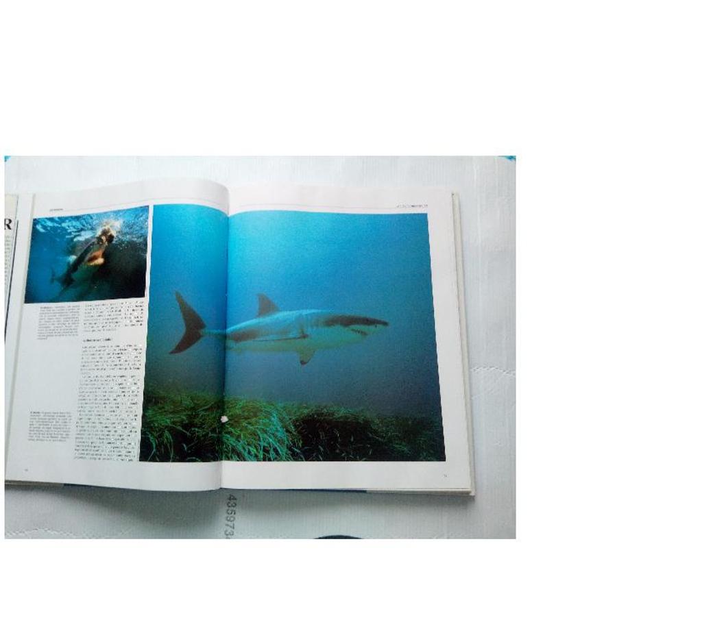 Livres occasion Loiret Chalette sur Loing - 45120 - Photos Vivastreet Livre Les Requins BORDAS 