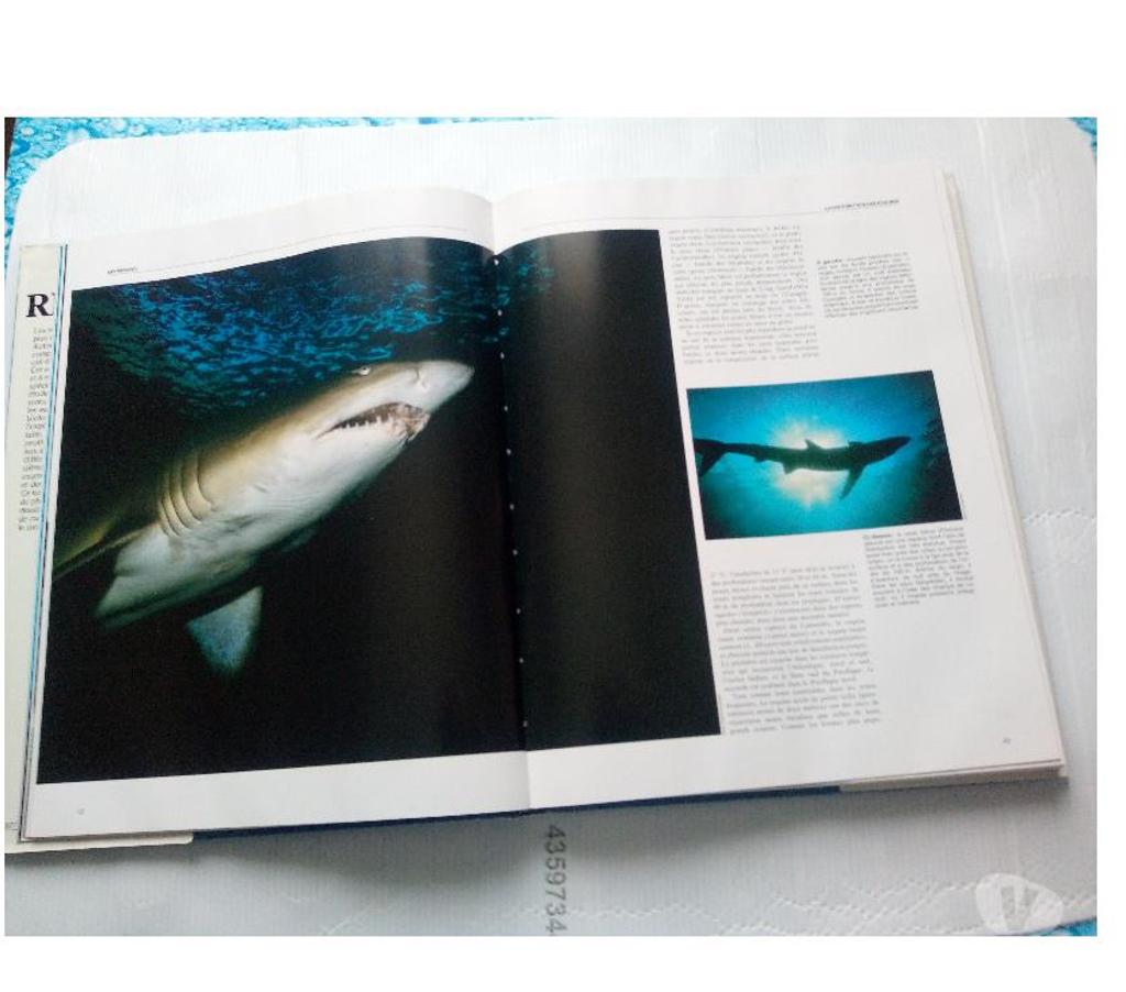 Livres occasion Loiret Chalette sur Loing - 45120 - Photos Vivastreet Livre Les Requins BORDAS 