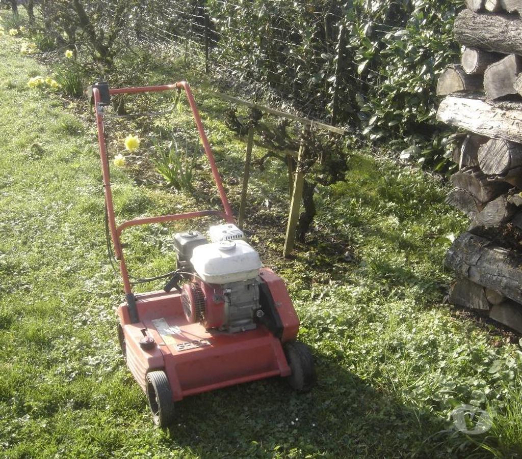  Côte-d'Or Chevigny St Sauveur - 21800 - Photos Vivastreet location scarificateur pour enlever la moussse du gazon