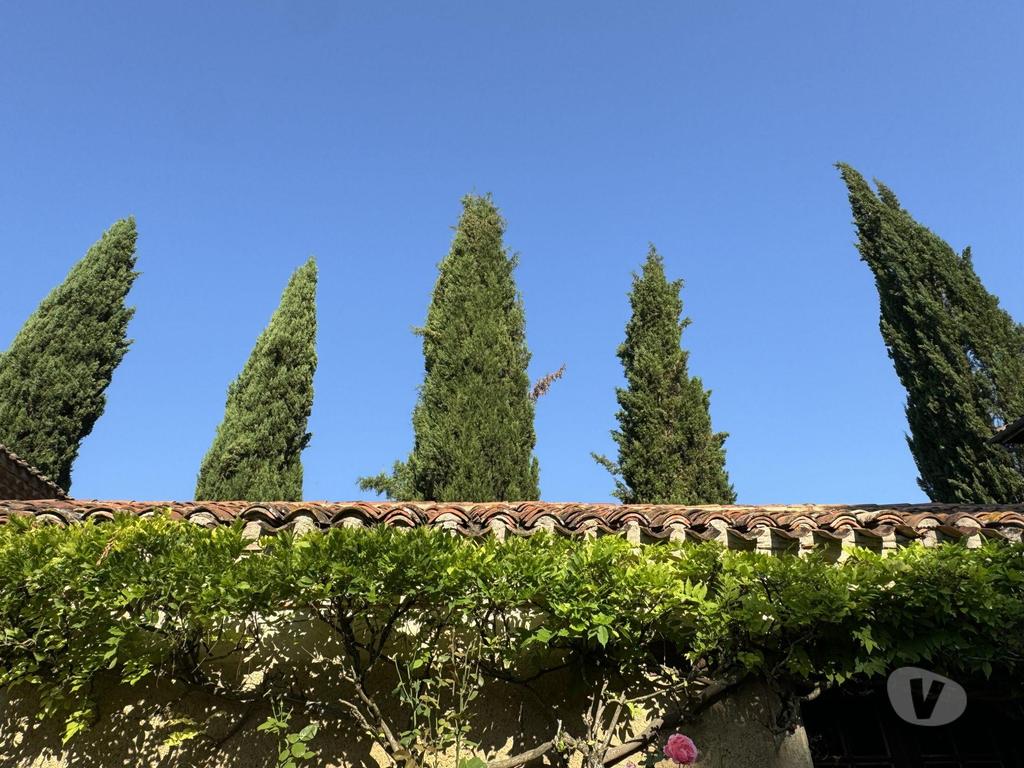 Vente Maison Gers Auch - 32000 - Photos Vivastreet Magnifique manoir avec des origines au 15ieme siècle, avec sa m