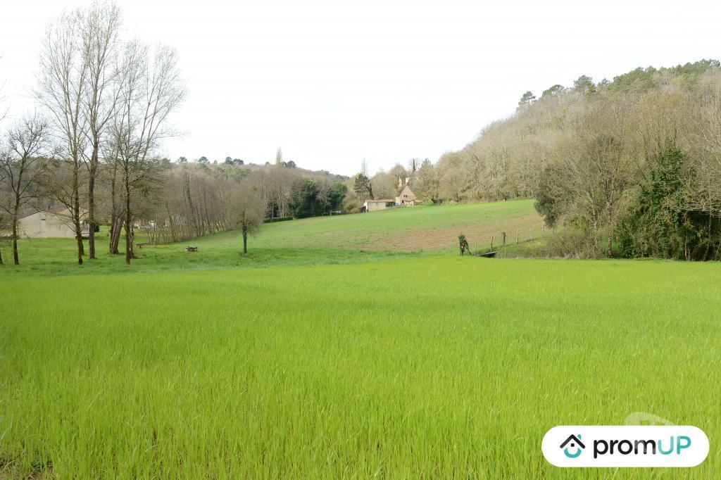 Terrain à vendre Dordogne Campsegret - 24140 - Photos Vivastreet (V6591) Terrain constructible de 3672 m2 à CAMPSEGRET