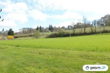 Vente Terrain Campsegret Dordogne - Photos Vivastreet (V6591) Terrain constructible de 3672 m2 à CAMPSEGRET
