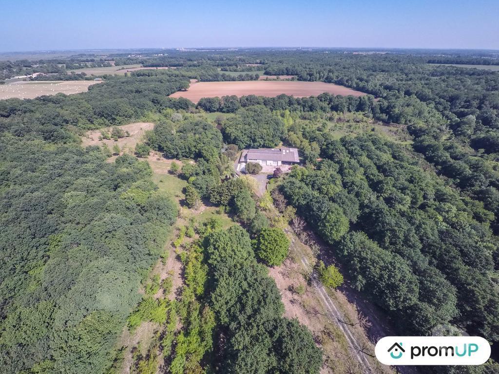 Vente Maison Charente-Maritime St Jean d'Angle - 17620 - Photos Vivastreet (VM406) Belle propriété sur 12,5ha de terres