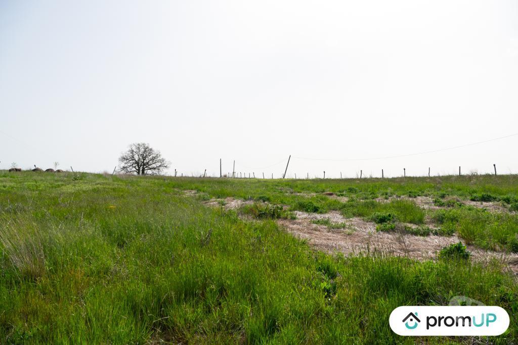 Terrain à vendre Gers Lartigue - 32450 - Photos Vivastreet (V6614) Investissez dans l’agrivoltaïsme
