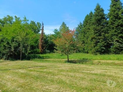 Achat maison L'Isle en Dodon Haute-Garonne - Photos Vivastreet Villa spacieuse et moderne avec piscine et parc