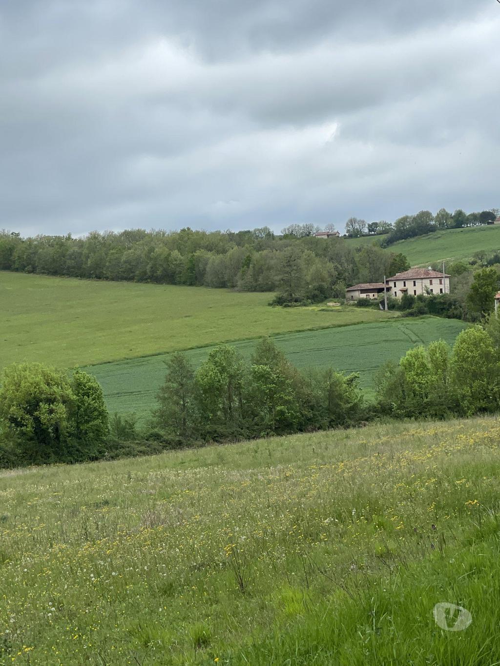 Vente Maison Gers Lourties Monbrun - 32140 - Photos Vivastreet Belle propriété à la campagne, possibilité d acheter 7 Hecta