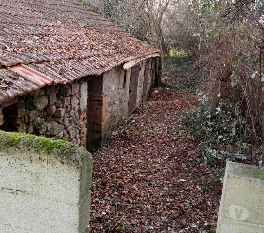 Vente Maison Allier Cerilly - 03350 - Photos Vivastreet Maison rénovée mi isolée 03350