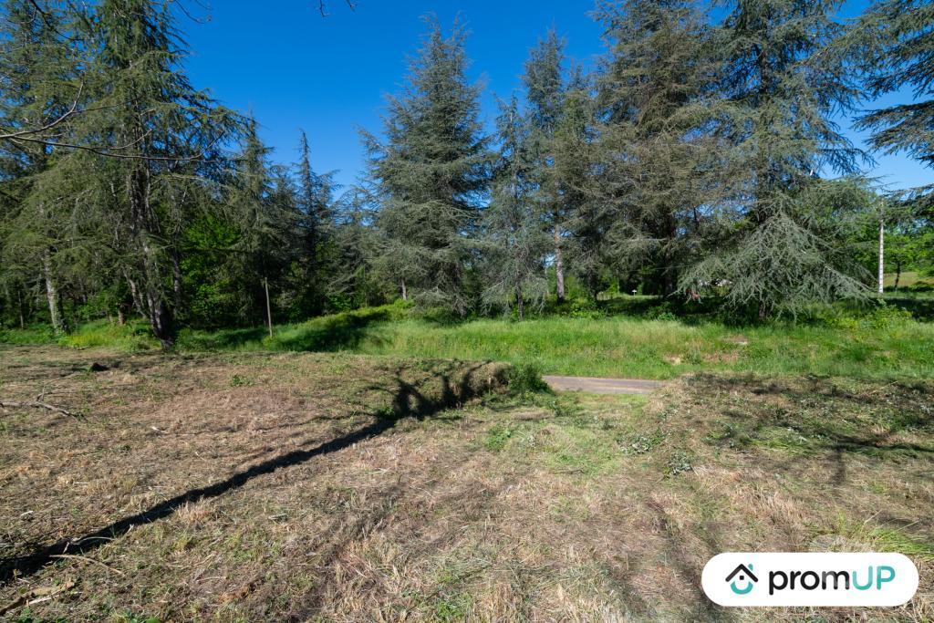 Terrain à vendre Gers Reans - 32800 - Photos Vivastreet (V6594) Terrain constructible de 10000 m2 à RÉANS