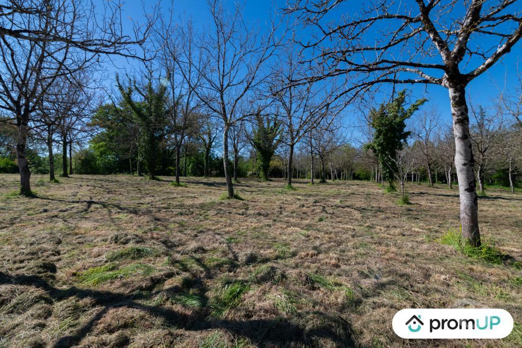 Terrain à vendre Gers Reans - 32800 - Photos Vivastreet (V6594) Terrain constructible de 10000 m2 à RÉANS