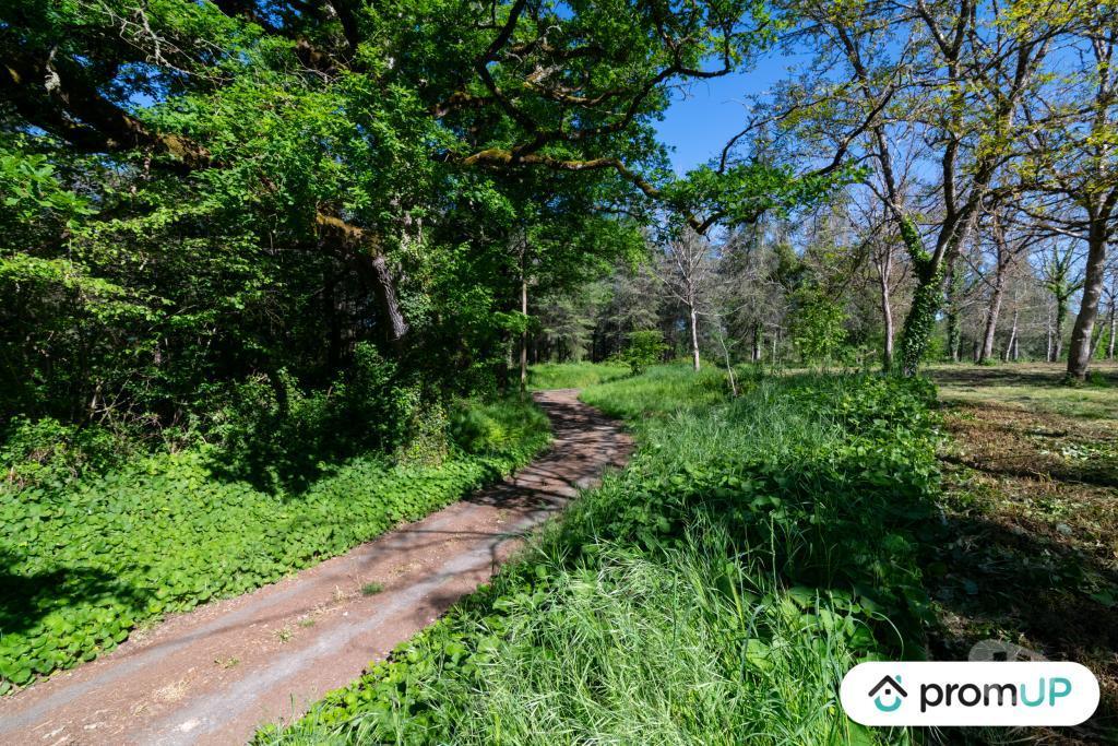 Terrain à vendre Gers Reans - 32800 - Photos Vivastreet (V6594) Terrain constructible de 10000 m2 à RÉANS