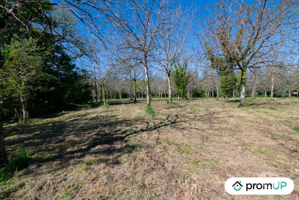Terrain à vendre Gers Reans - 32800 - Photos Vivastreet (V6594) Terrain constructible de 10000 m2 à RÉANS