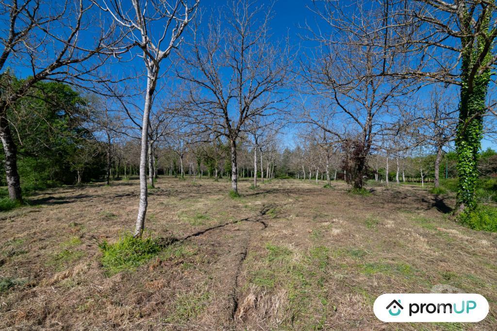 Terrain à vendre Gers Reans - 32800 - Photos Vivastreet (V6594) Terrain constructible de 10000 m2 à RÉANS