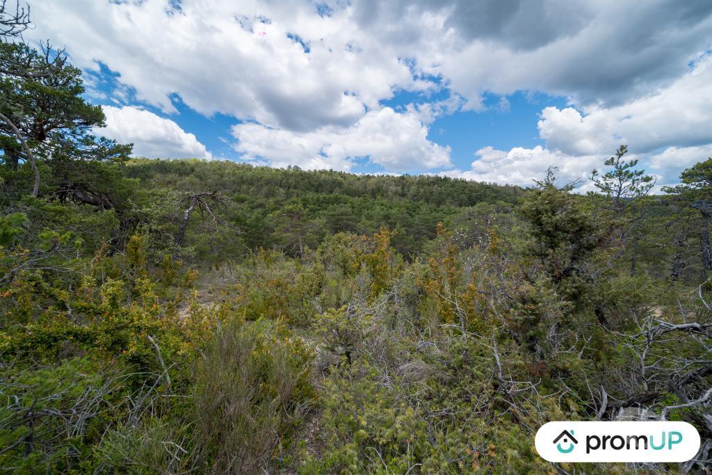 Terrain à vendre Var Trigance - 83840 - Photos Vivastreet (V6616) Forêt de 92370 m2 à TRIGANCE