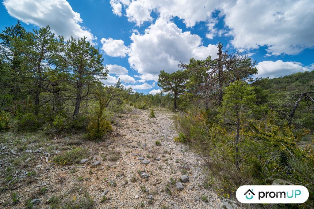 Terrain à vendre Var Trigance - 83840 - Photos Vivastreet (V6616) Forêt de 92370 m2 à TRIGANCE