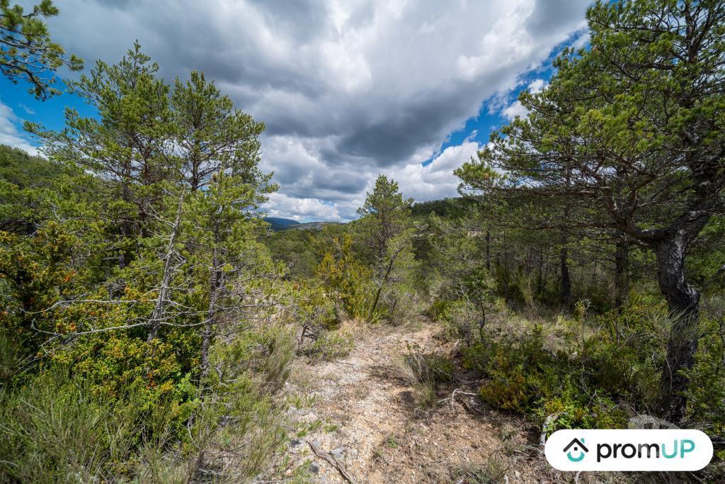 Terrain à vendre Var Trigance - 83840 - Photos Vivastreet (V6616) Forêt de 92370 m2 à TRIGANCE