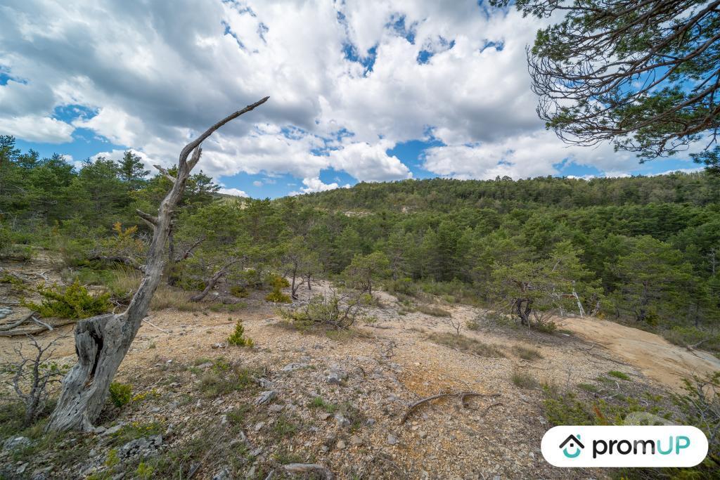 Terrain à vendre Var Trigance - 83840 - Photos Vivastreet (V6616) Forêt de 92370 m2 à TRIGANCE