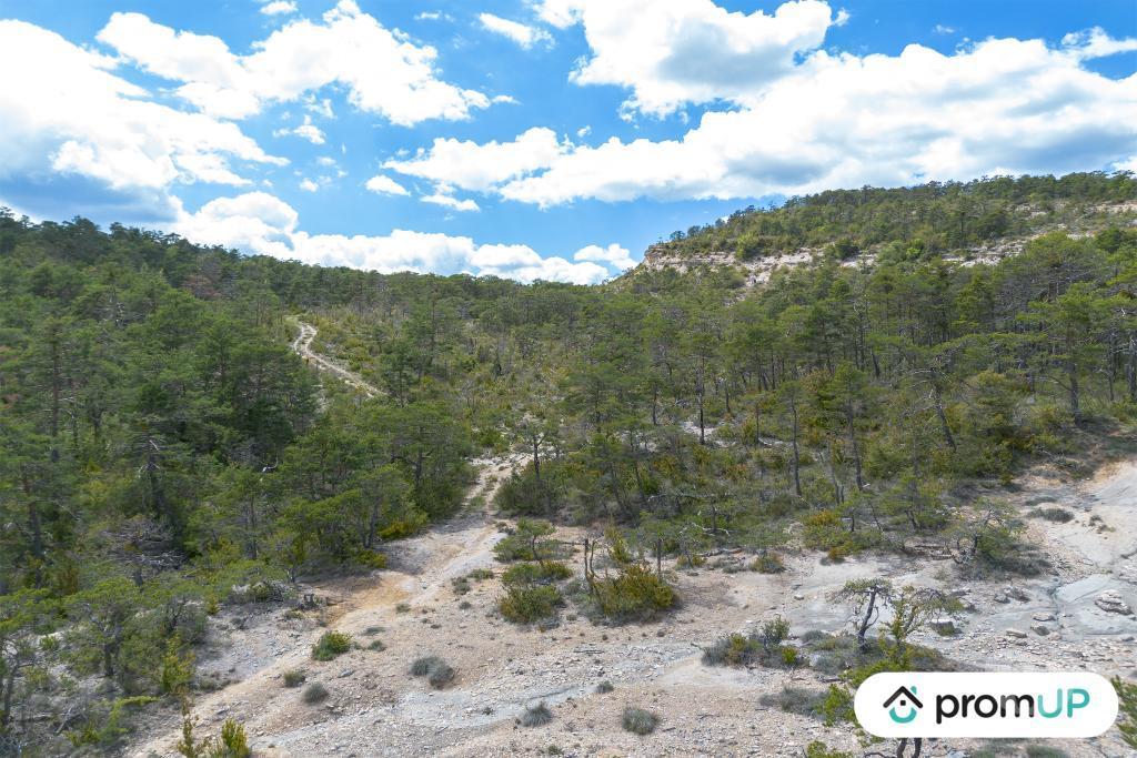 Terrain à vendre Var Trigance - 83840 - Photos Vivastreet (V6616) Forêt de 92370 m2 à TRIGANCE