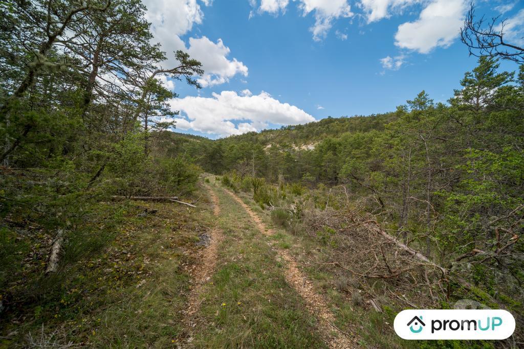 Terrain à vendre Var Trigance - 83840 - Photos Vivastreet (V6616) Forêt de 92370 m2 à TRIGANCE