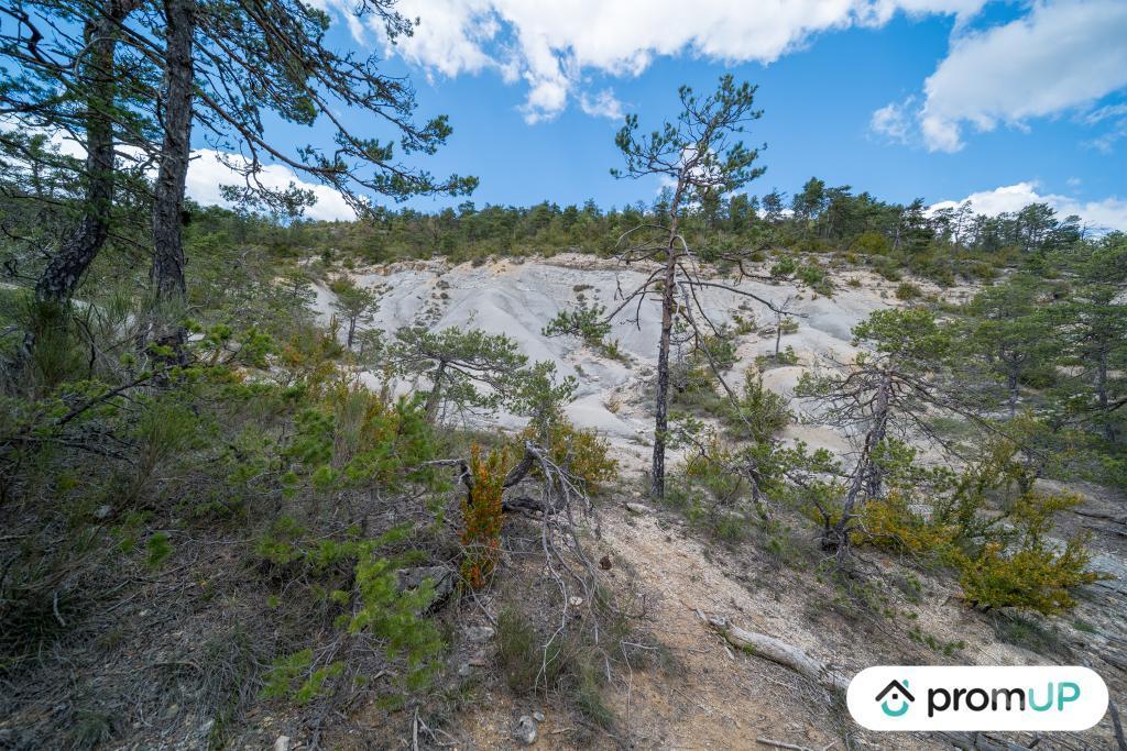 Terrain à vendre Var Trigance - 83840 - Photos Vivastreet (V6616) Forêt de 92370 m2 à TRIGANCE