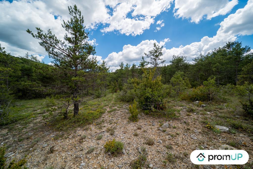 Terrain à vendre Var Trigance - 83840 - Photos Vivastreet (V6616) Forêt de 92370 m2 à TRIGANCE