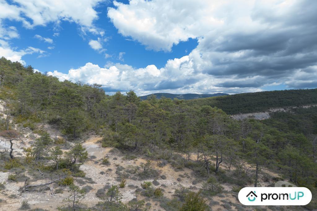 Terrain à vendre Var Trigance - 83840 - Photos Vivastreet (V6616) Forêt de 92370 m2 à TRIGANCE