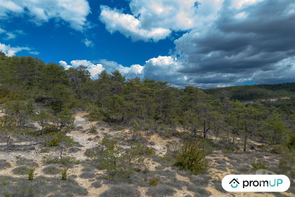 Terrain à vendre Var Trigance - 83840 - Photos Vivastreet (V6616) Forêt de 92370 m2 à TRIGANCE