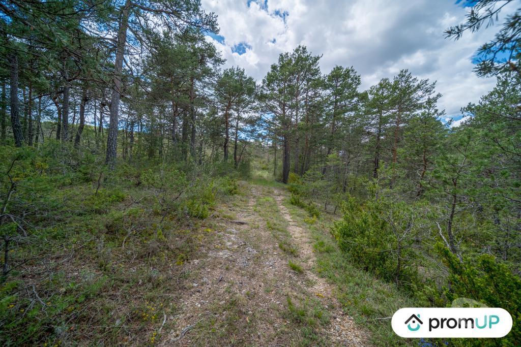 Terrain à vendre Var Trigance - 83840 - Photos Vivastreet (V6616) Forêt de 92370 m2 à TRIGANCE