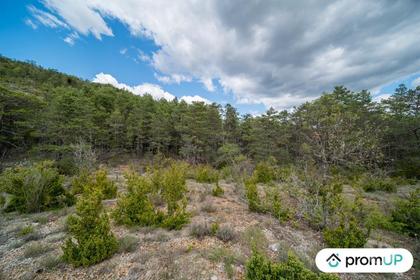 Vente Terrain Trigance Var - Photos Vivastreet (V6616) Forêt de 92370 m2 à TRIGANCE